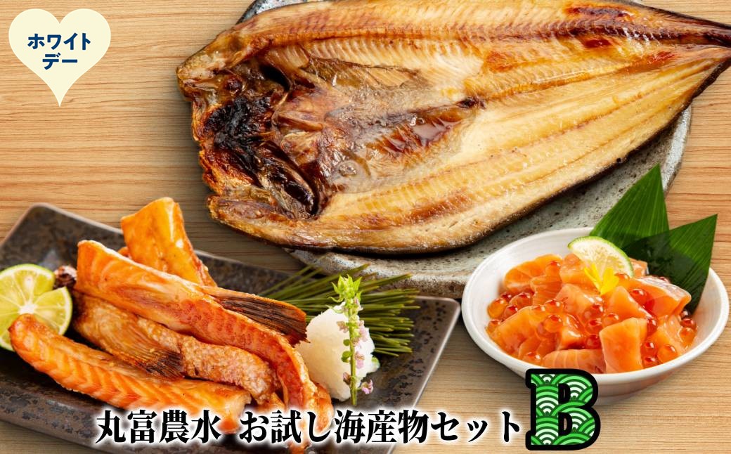 13-390 【ホワイトデー】丸富農水お試し海産物セットＢ ホワイトデー発送 Bセット
