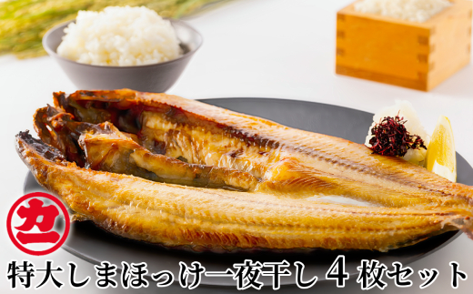 15-270 脂の乗った特大しまほっけの一夜干し4枚セット