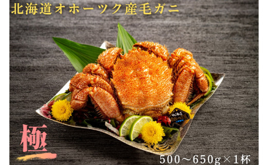 18-160 【年内配送12月15日入金まで】北海道産毛ガニ　500～650g×1杯