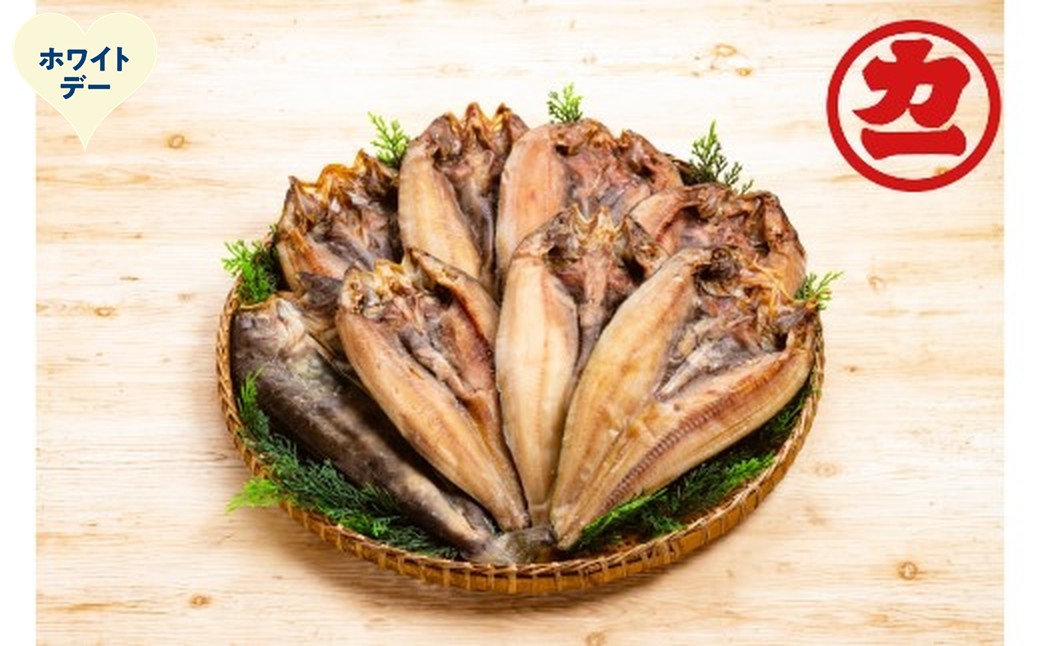 15-383 【ホワイトデー】どどーんと8枚！しまほっけ一夜干しセット ホワイトデー発送