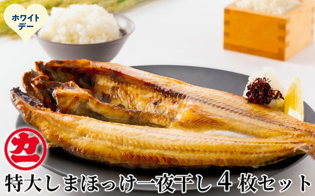 15-384 【ホワイトデー】脂の乗った特大しまほっけの一夜干し4枚セット ホワイトデー発送