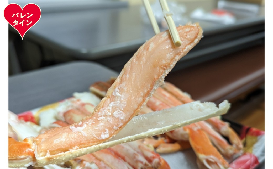 18-167 【バレンタインデー】ボイル本ずわいがにハーフポーション(総重量　約900ｇ前後)