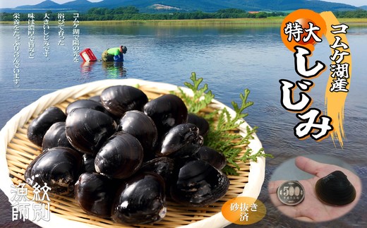 19-42 【年内配送12月15日入金まで】【紋別市コムケ湖産】 手獲り特大しじみ　600g