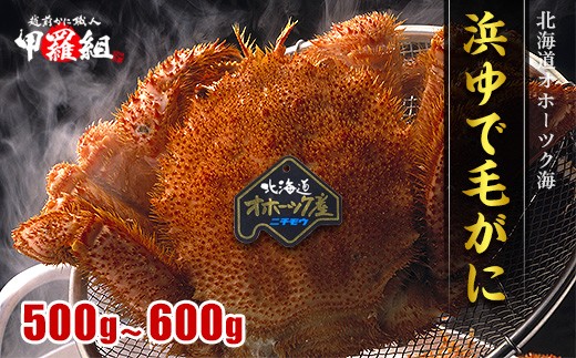 20-269 【甲羅組】北海道産　ボイル毛蟹
