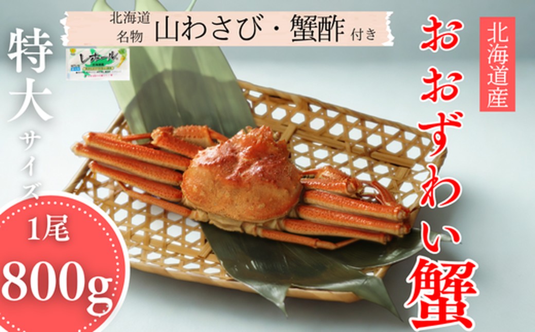 20-290 【北海道産】特大サイズ オオズワイガニ姿　800g以上1尾 ｜ 蟹酢・山わさび付　かに　おおずわいがに