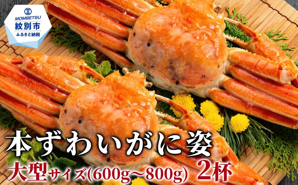 22-153 本ずわいがに姿 大型サイズ2杯 約600～800g 2杯