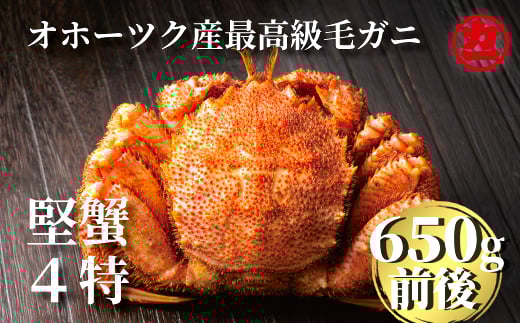 24-55 北海道産ボイル毛がに【四特】 大ｻｲｽﾞ1尾入り（1尾約650ｇ前後）