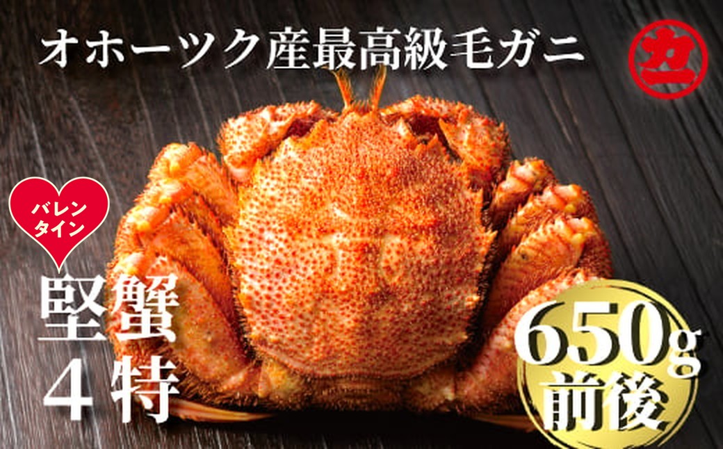 24-126 【バレンタインデー】北海道産ボイル毛がに【四特】 大ｻｲｽﾞ1尾入り（1尾約650ｇ前後）
