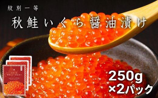 40-152 【年内配送12月15日入金まで】紋別一等～いくら醤油漬け500g（250g×2パック）