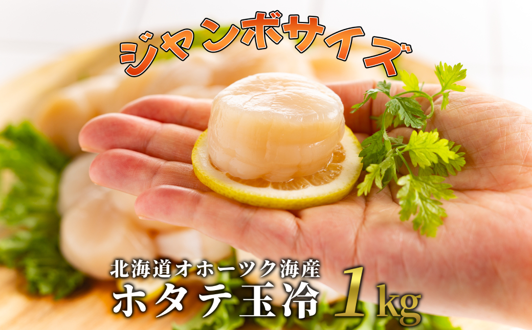 30-125 北海道オホーツク海産ホタテ玉冷ジャンボサイズ(1kg)