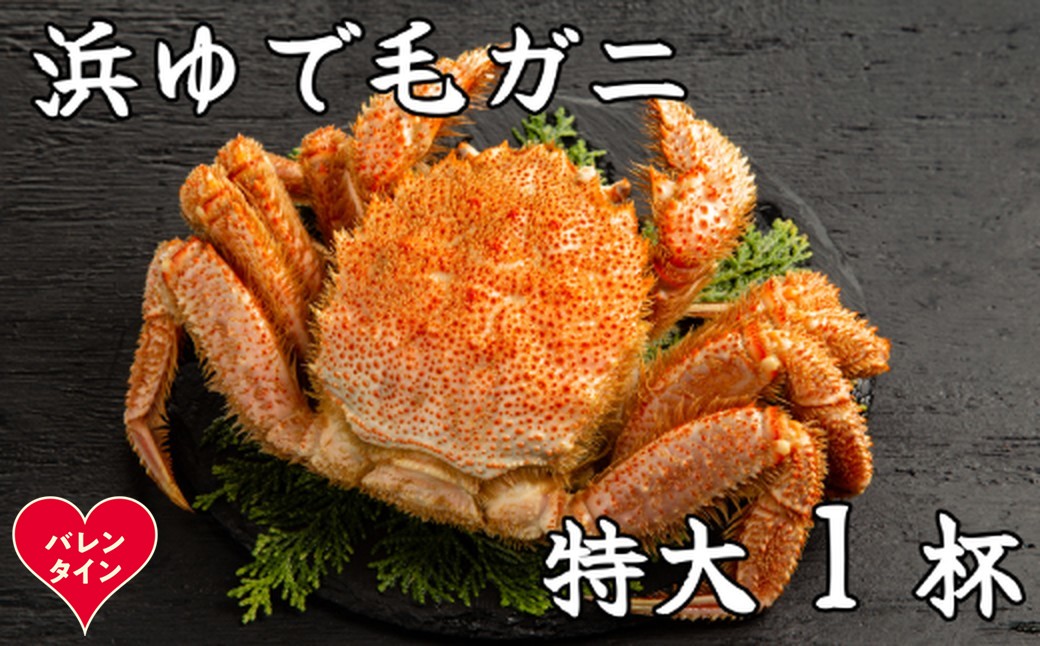 26-52 【バレンタインデー】流氷明け浜ゆで毛ガニ　特大1杯