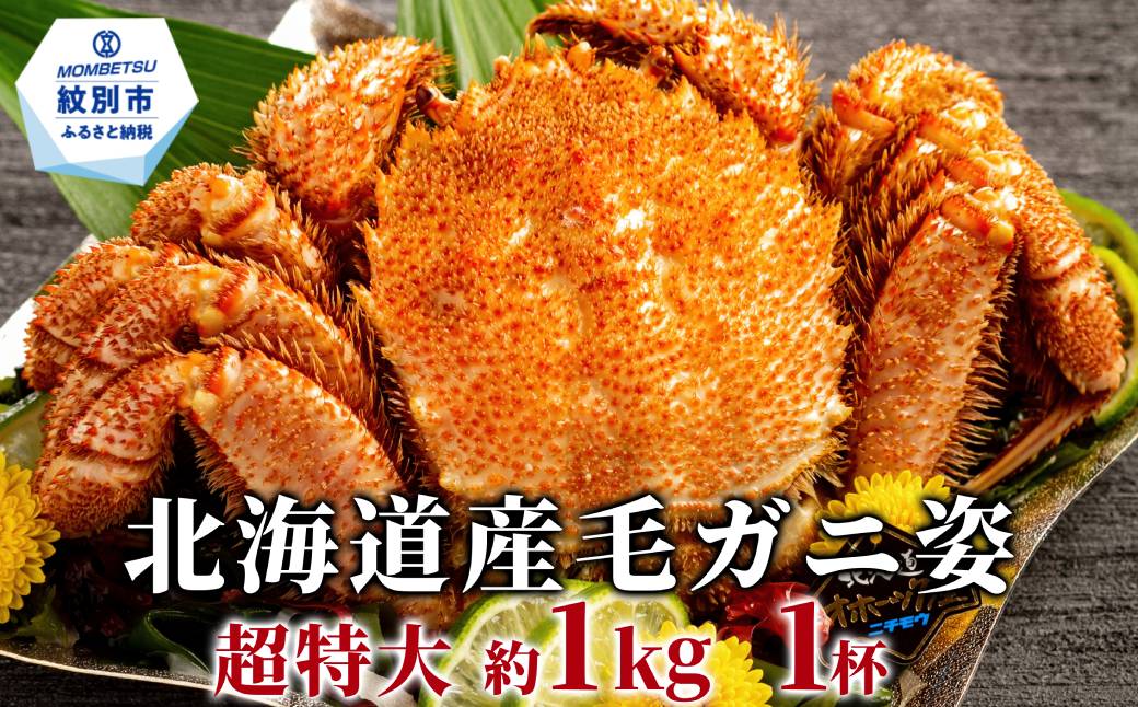 29-29 【超特大】北海道産毛ガニ　約1kg×1杯 約1kg【超特大】×1杯