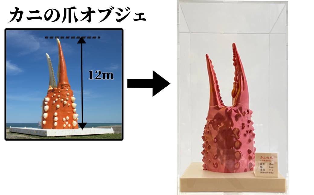 34-23 カニの爪オブジェ（大型）ケース付き