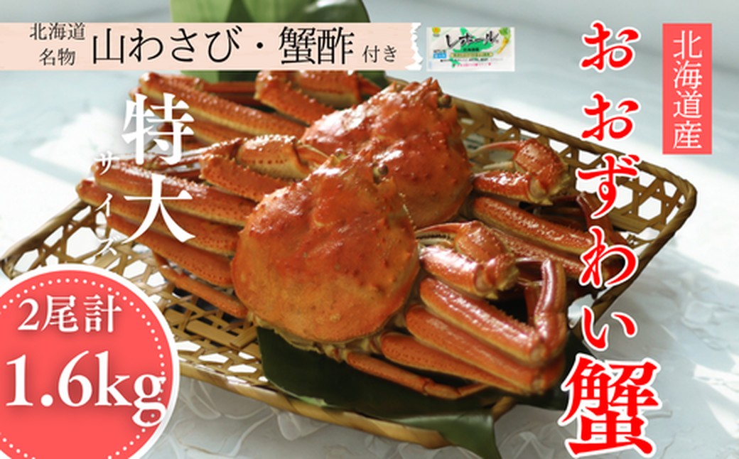 35-49 【年内配送12月15日入金まで】【北海道産】オオズワイガニ姿　特大サイズ2尾計1.6kg ｜ 蟹酢・山わさび付　かに　おおずわいがに
