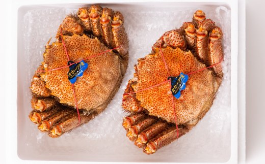 37-5 【年内発送12月15日入金まで】毛ガニ約570ｇ×2尾