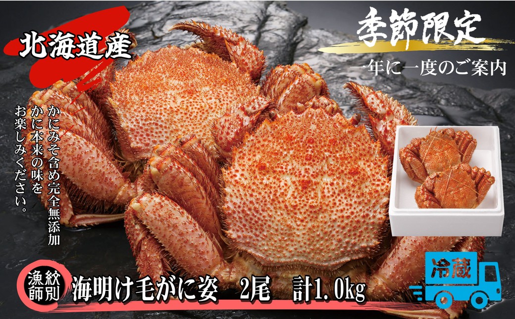 46-3 【北海道産】海明け毛がに姿 2尾計約1.0kg【期間限定5月18日まで受付予定】(冷蔵便) 2尾計約1.0kg