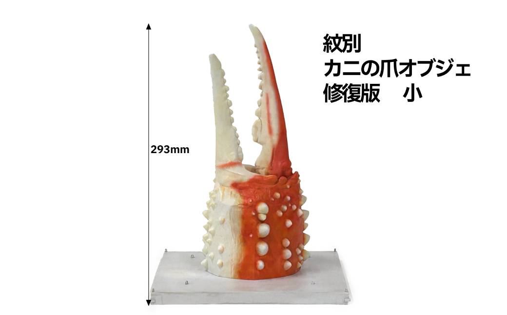 50-80 紋別 カニの爪オブジェ - 修復版, 小 -