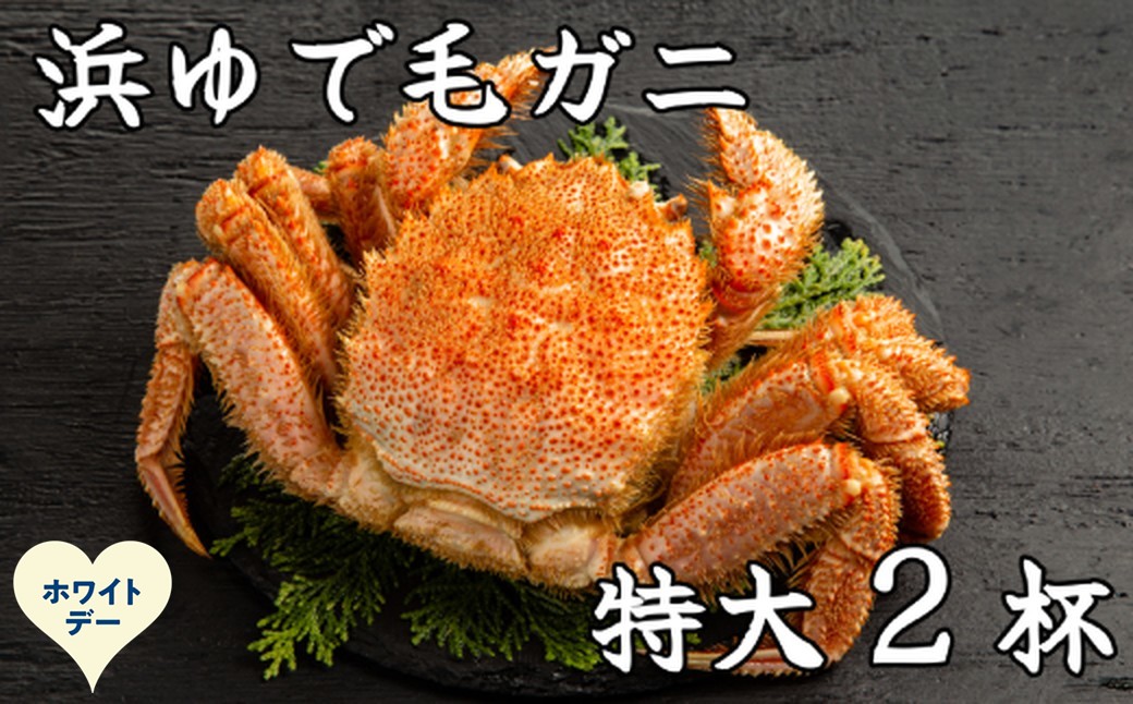 52-20 【ホワイトデー】流氷明け浜ゆで毛ガニ　特大2杯