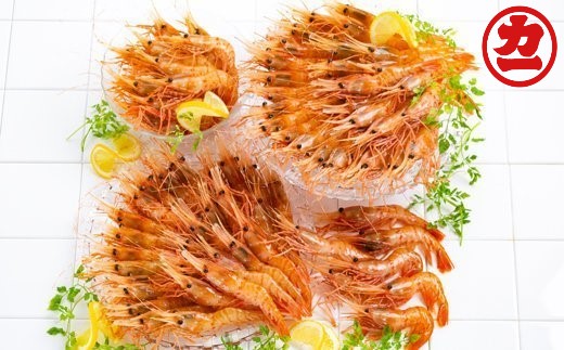 65-5 どどーんと２kgぼたんえびセット