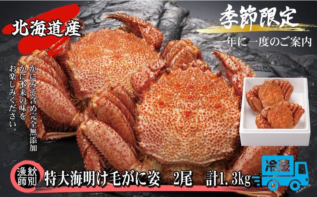 65-9 【北海道産】特大海明け毛がに姿 2尾計約1.3kg【期間限定5月18日まで受付予定】(冷蔵便) 2尾計約1.3kg【特大】