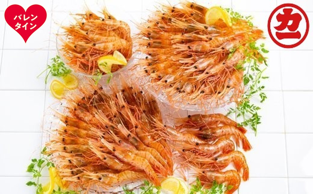 65-14 【バレンタインデー】どどーんと２kgぼたんえびセット