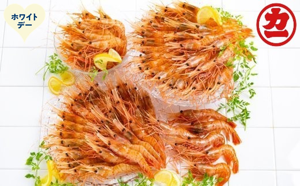 65-16 【ホワイトデー】どどーんと２kgぼたんえびセット