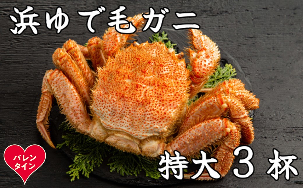 78-21 【バレンタインデー】流氷明け浜ゆで毛ガニ　特大3杯
