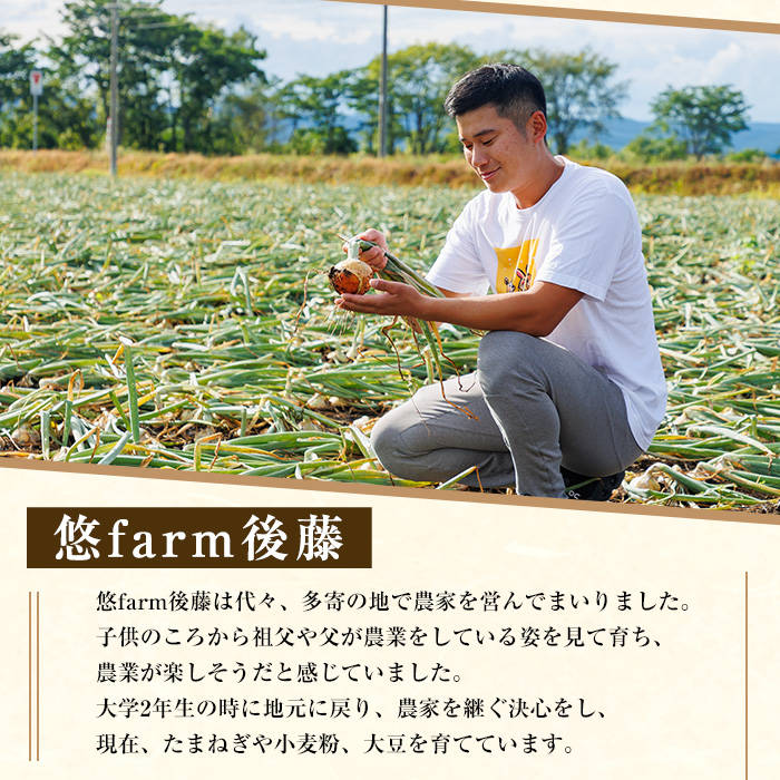 ＜北海道士別市たよろ産＞甘みと旨味が詰まった 玉ねぎ ( 5kg ) たまねぎ 玉葱 野菜 北海道産 士別市産 料理 【悠farm後藤】【A7131】