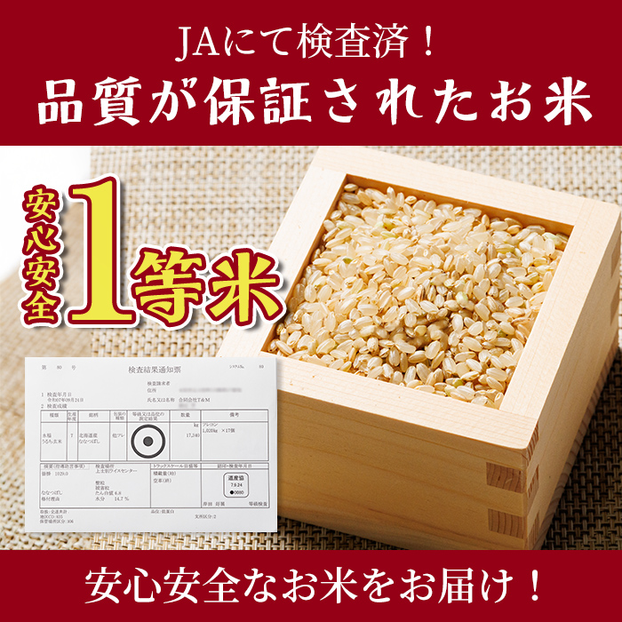 【B7138】上士別清流米 ななつぼし 玄米 (5kg) 米 お米 玄米 北海道米 ごはん ななつぼし 北海道産 士別産 5kg 【合同会社T&M】