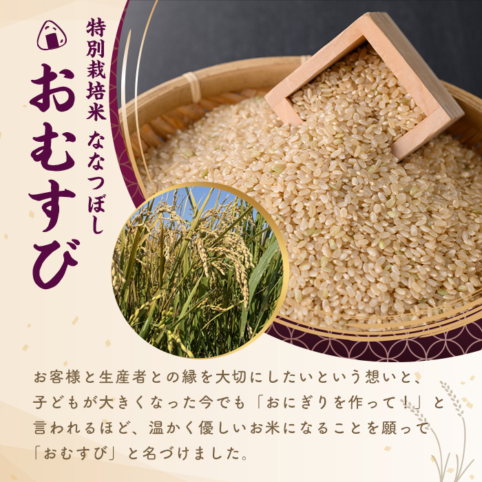 《特別栽培米》北海道士別市産 ななつぼし 玄米 「おむすび」 (5kg) 数量限定 米 お米 玄米 道産米 北海道米 ごはん おこめ コメ 【高松農園】【B7145】