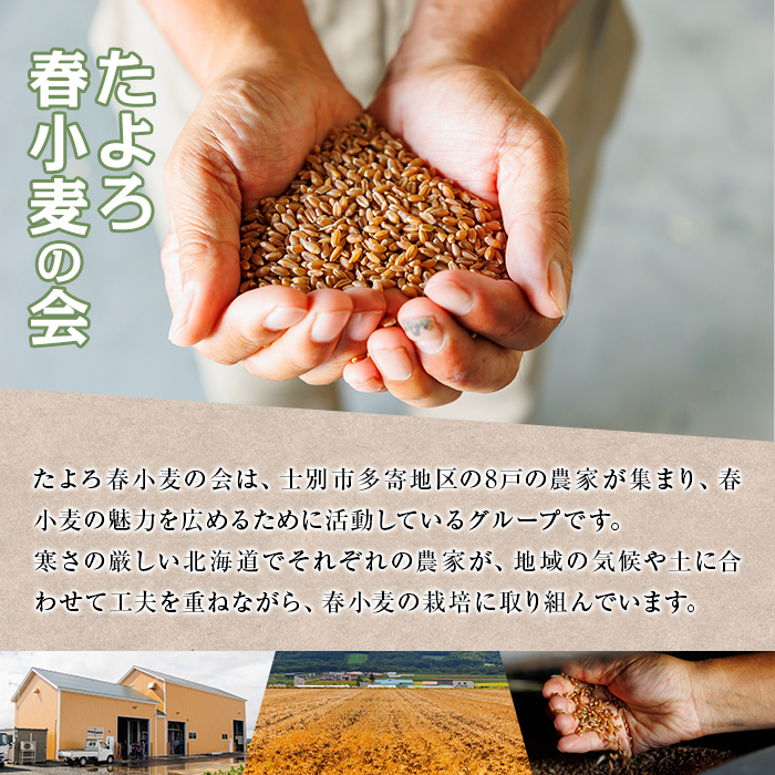 【C7022】＜北海道士別市産小麦＞ たよろの春よ恋 強力粉 ( 1kg×10袋・計10kg) 【2026年1月20日以降発送予定】小麦 小麦粉 強力粉 春よ恋 北海道産 士別市産 国産 国産小麦粉 パン お菓子 料理 1kg 10kg【たよろ春小麦の会】