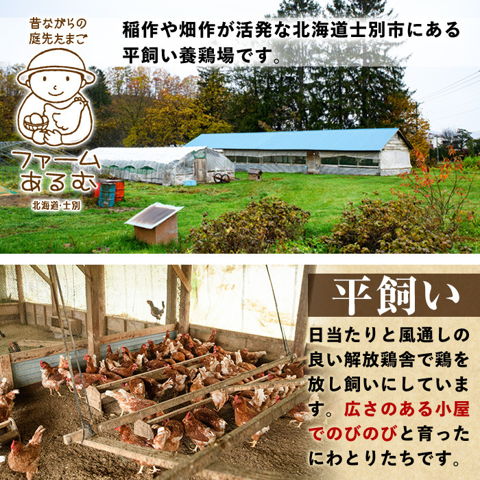 【C7048】《定期便・計3回》昔ながらの庭先たまご (40個×3回 計120個・サイズ混合) 卵 玉子 たまご 定期便 平飼い 40個 濃厚 うまみ 卵かけご飯 目玉焼き 卵焼き ごはん おかず【ファームあるむ】