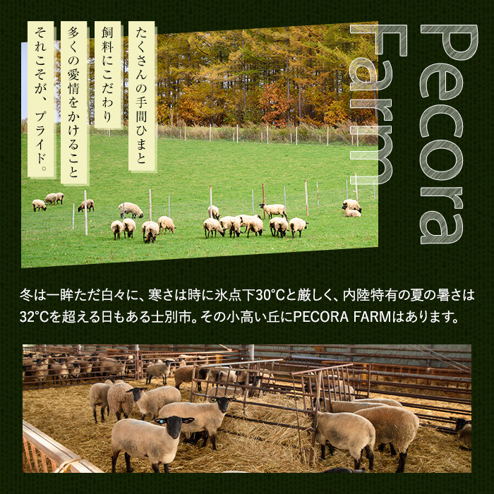 【D7076】北海道士別産サフォークホゲットジンギスカン(200g×5P) 味付き 羊 羊肉 味付き 冷凍 焼肉 ジンギスカン BBQ バーベキュー 【ペコラファーム】