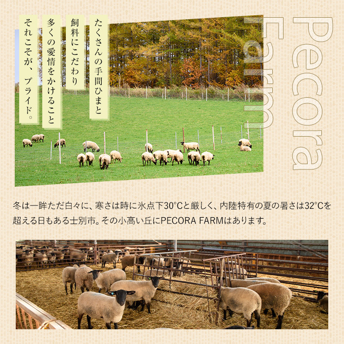 【F7037】士別 サフォーク ムートン ラグ ( 短毛 ・ 1枚 ) 羊 ラグ ムートン サフォーク インテリア 敷物 保温 おしゃれ プレゼント ギフト 【ペコラファーム】