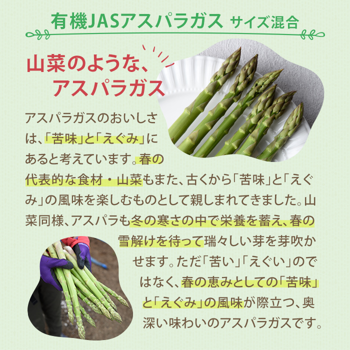 ＜季節限定＞有機JASアスパラガス(約1kg・サイズ混合おまかせ) 【先行予約受付中・2026年4月中旬から順次発送】期間限定 アスパラ グリーンアスパラ 旬 野菜 【イナゾーファーム】【B7099】
