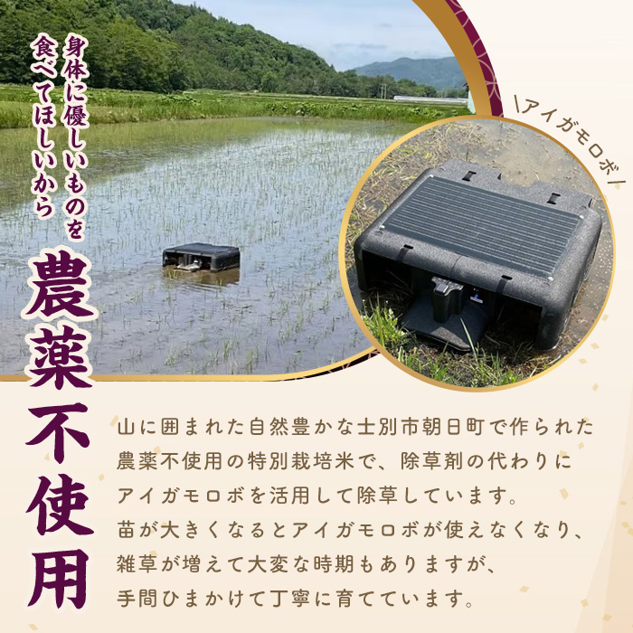 【B7133】《特別栽培米》北海道士別市産 ななつぼし 「おむすび」 (5kg) 数量限定 米 お米 白米 道産米 北海道米 ごはん おこめ コメ 【高松農園】