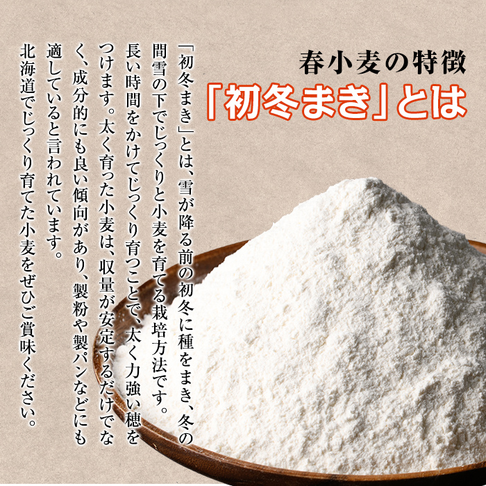 【C7022】＜北海道士別市産小麦＞ たよろの春よ恋 強力粉 ( 1kg×10袋・計10kg) 【2026年1月20日以降発送予定】小麦 小麦粉 強力粉 春よ恋 北海道産 士別市産 国産 国産小麦粉 パン お菓子 料理 1kg 10kg【たよろ春小麦の会】