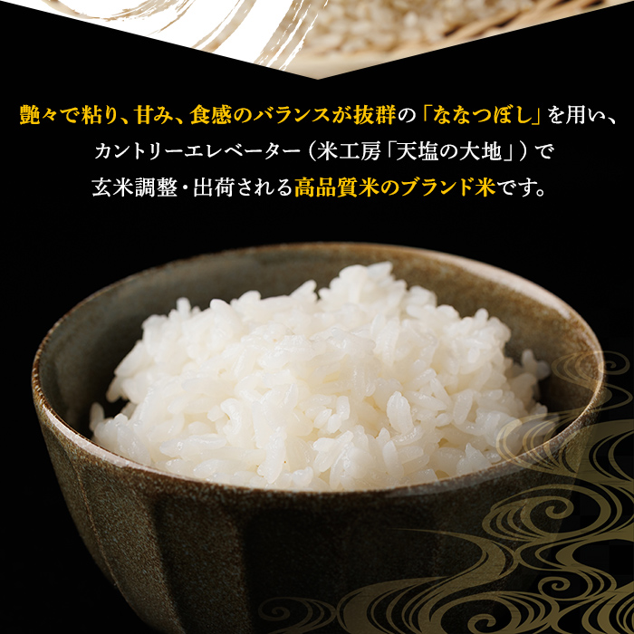 ＜定期便・全4回＞令和7年産 新米 JAブランド米 氷点の舞 ななつぼし (5kg×4回) 新米 米 お米 北海道米 北海道産 北海道米 士別市産 ごはん 精米 白米 5kg 20kg 定期便 【ホクレン商事】【E7113】