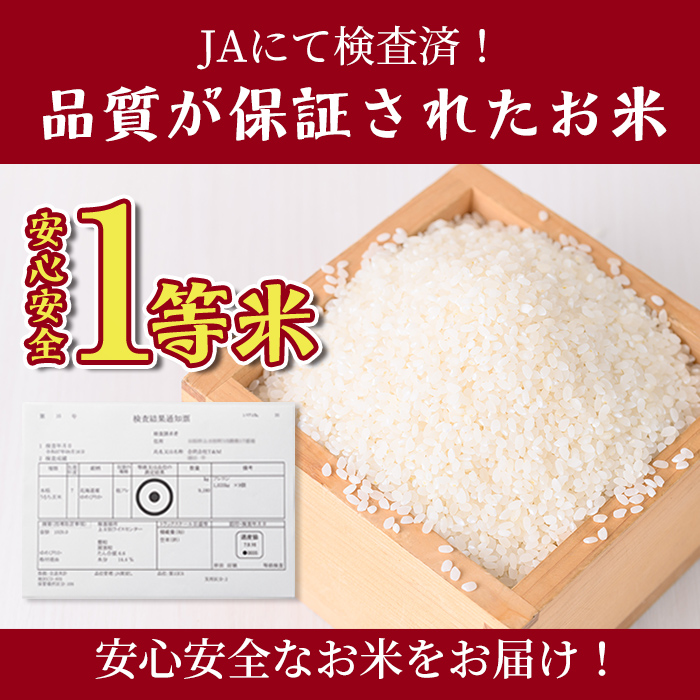 【F7196】《定期便・全4回》上士別清流米 ゆめぴりか (10kg×4回・計40kg) 米 お米 精米 白米 北海道米 ごはん ゆめぴりか 北海道産 士別産 10kg 40kg 定期便 【合同会社T&M】