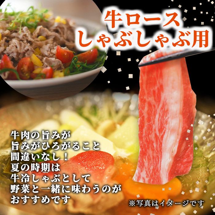 【B7012】北海道士別市産 牛ロース しゃぶしゃぶ 用 (300g×1P) 牛 牛肉 肉 お肉 ロース しゃぶしゃぶ 牛しゃぶ 北海道産 冷凍 晩御飯 ごはん おかず 【まちづくり士別】