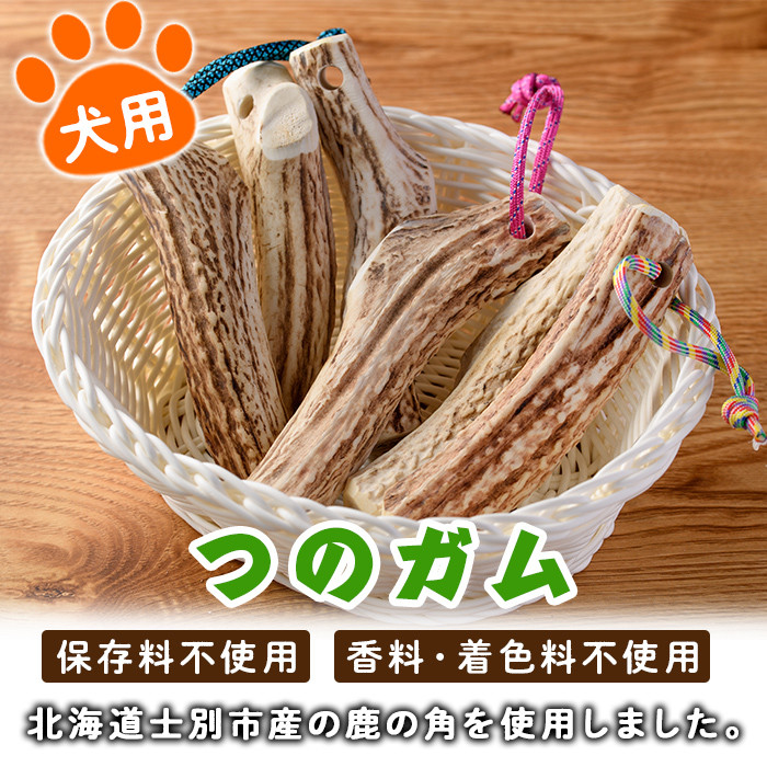 【B7062】＜犬のおやつ・歯固め用＞ つのガム (3個) 犬 ペット おやつ 鹿角ガム 歯固め ドッグ ガム ドッグガム ペット用 フード 鹿 エゾ鹿 蝦夷鹿 北海道 士別市 贈り物 愛犬 プレゼント 【士別ジビエ工房 CHOUETTE】