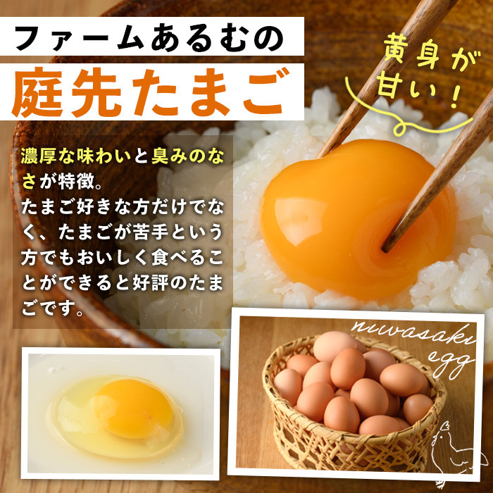 【B7065】昔ながらの庭先たまご＆スモークチキンセット(たまご10個・サイズ混合 / スモークチキン1羽・650g以上) 卵 玉子 鶏 鶏肉 チキン 平飼い スモーク 骨付き 濃厚 うまみ 塩胡椒 セット 卵かけご飯 ごはん おかず おつまみ 【ファームあるむ】