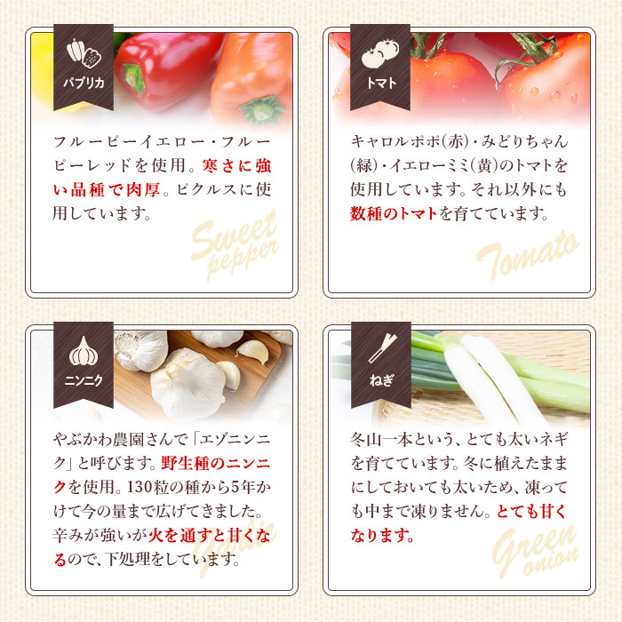 【B7086】やさいサーカス4種セット(トマトソース、油淋鶏ソース：120g・にんにくの芽ピクルス：60g・サラダピクルス：90g) トマト トマトソース ソース ニンニク にんにく ニンニクの芽 調味料 料理 パスタ ピザ チキンソース ピクルス おつまみ おかず 【やぶかわ農園】