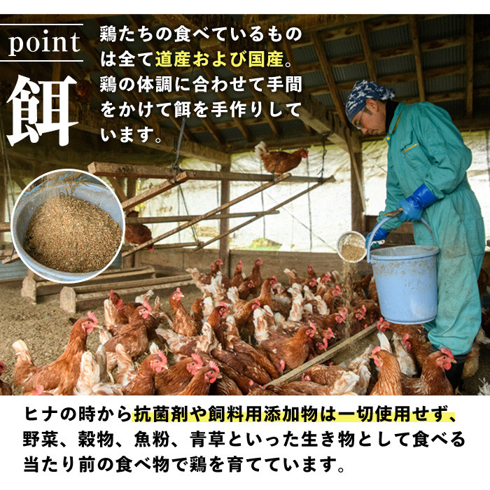 【C7048】《定期便・計3回》昔ながらの庭先たまご (40個×3回 計120個・サイズ混合) 卵 玉子 たまご 定期便 平飼い 40個 濃厚 うまみ 卵かけご飯 目玉焼き 卵焼き ごはん おかず【ファームあるむ】