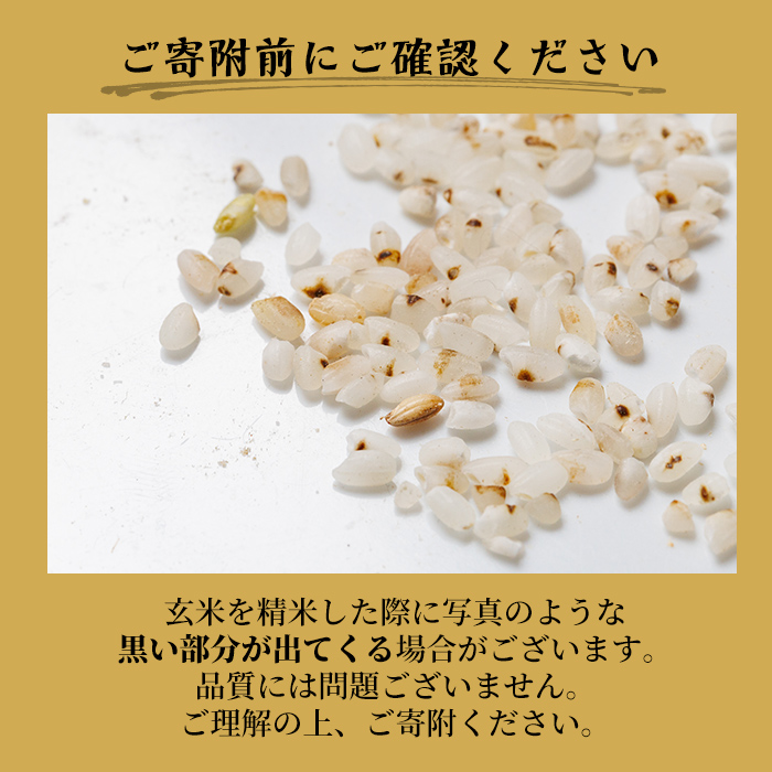 【B7138】上士別清流米 ななつぼし 玄米 (5kg) 米 お米 玄米 北海道米 ごはん ななつぼし 北海道産 士別産 5kg 【合同会社T&M】