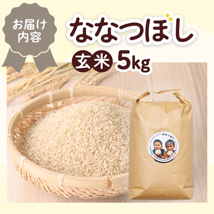 《数量限定》北海道 上士別朝日町の元気ファミリー米 ななつぼし 玄米 (5kg) 【2026年3月以降発送】 米 お米 北海道米 北海道産 北海道米 士別市産 ごはん 5kg 【渡邉農園】【B7144】