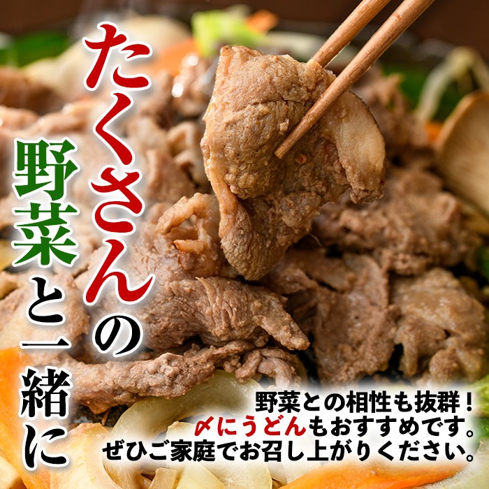 【A7027】特製 ラム ジンギスカン (750g×1袋) 羊 羊肉 ラム肉 冷凍 焼肉 ジンギスカン ラムジンギスカン 醤油ベース タレ 味付き BBQ バーベキュー 【羊と雲の丘観光】