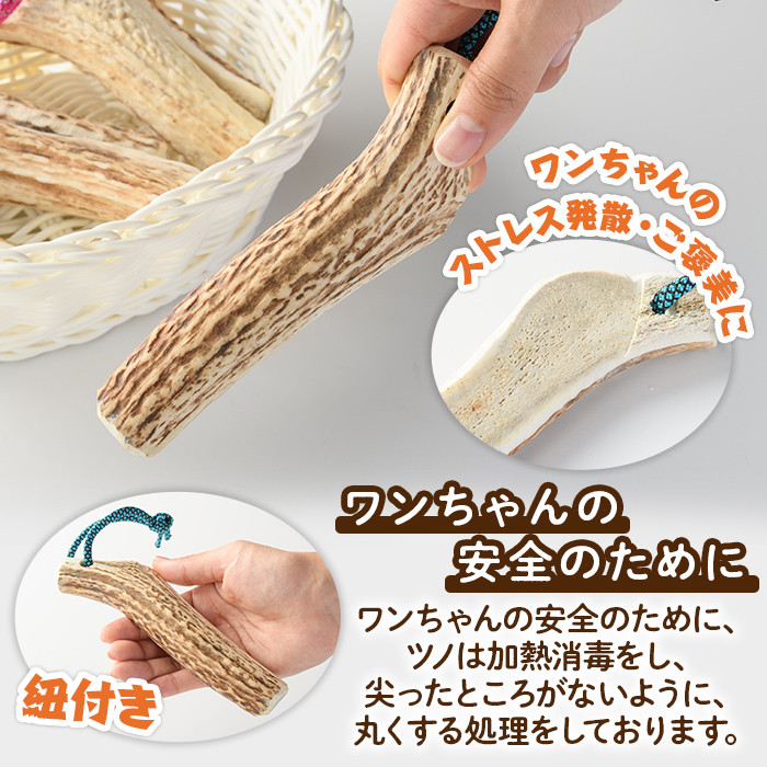 【B7062】＜犬のおやつ・歯固め用＞ つのガム (3個) 犬 ペット おやつ 鹿角ガム 歯固め ドッグ ガム ドッグガム ペット用 フード 鹿 エゾ鹿 蝦夷鹿 北海道 士別市 贈り物 愛犬 プレゼント 【士別ジビエ工房 CHOUETTE】