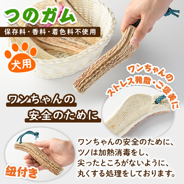 【C7046】＜犬のおやつ・歯固め用＞ エゾ鹿ジァーキィー＆つのガム(各3袋) 犬 ペット 鹿肉ジャーキー 角ガム おやつ 歯固め ジャーキー 犬用ジャーキー ドッグ ガム ドッグガム ペット用 フード 鹿 北海道 士別市 贈り物 愛犬 プレゼント 【士別ジビエ工房 CHOUETTE】