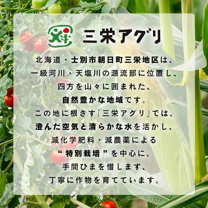 【A7121】北海道士別市産！カットかぼちゃ ほくあま(150g×3個) レトルト 小分け 常温 加熱加工 かぼちゃ カボチャ 南瓜 皮つき カット野菜 時短 簡単 野菜 やさい サラダ 煮物 お弁当 【三栄アグリ】